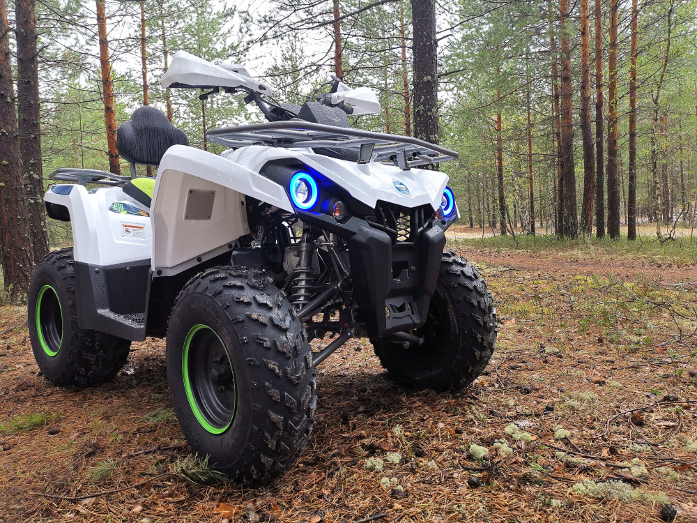 Квадроцикл PROMAX RENEGADE 280 (2025) в Обнинске