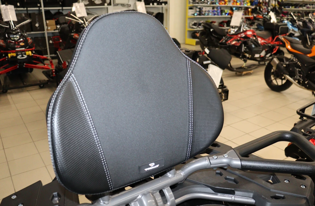 Квадроцикл PROMAX RENEGADE 300 LONG WINCH PRO (2025) в Обнинске