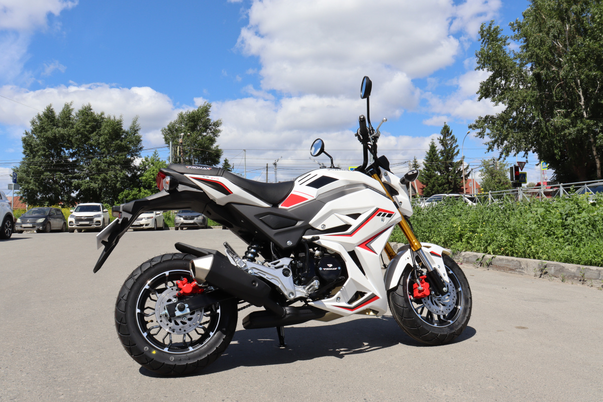 Мотоцикл PROMAX STRYKER 200(49) 2.0 в Обнинске