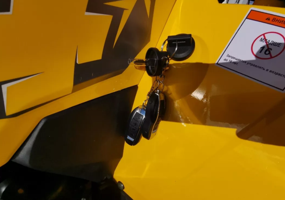 Квадроцикл MOTOLAND (МОТОЛЕНД) VOX200 WILD TRACK X PRO (баланс. вал) в Обнинске