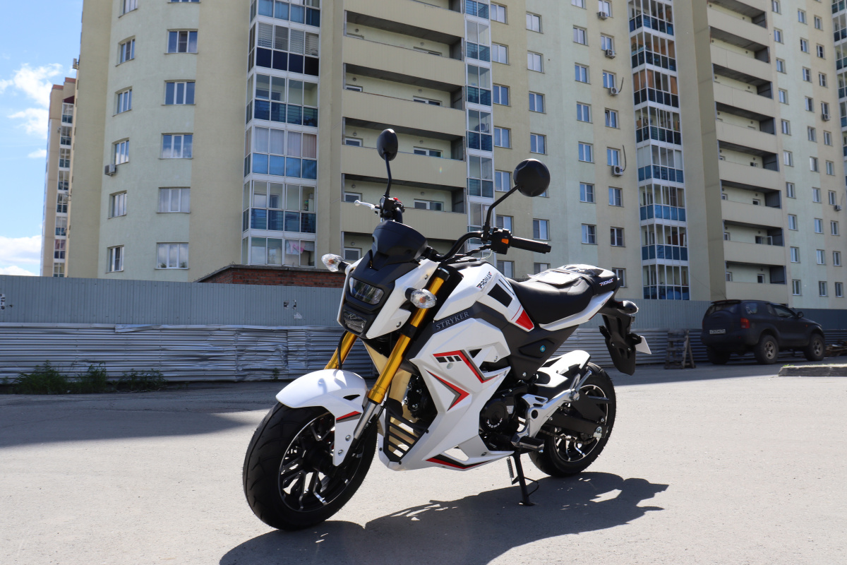Мотоцикл PROMAX STRYKER 200(49) 2.0 в Обнинске
