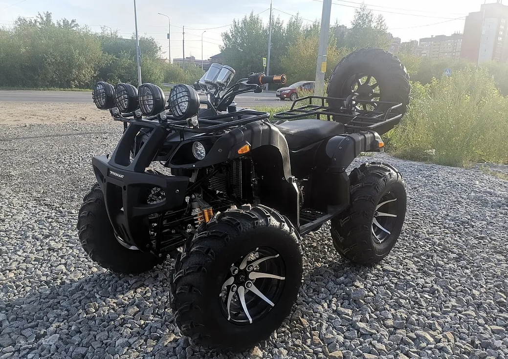 Квадроцикл PROMAX LEO 300 Max (кардан) в Обнинске