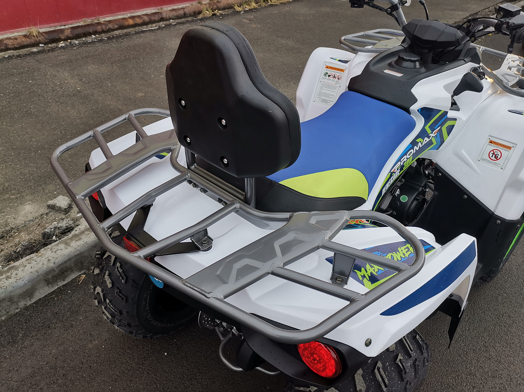 Квадроцикл PROMAX RENEGADE 280 LUX (2025) в Обнинске