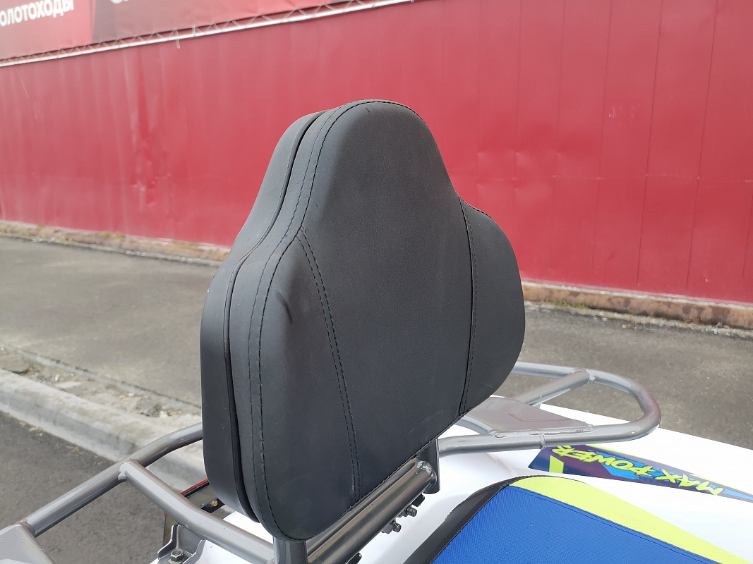 Квадроцикл PROMAX RENEGADE 280 LUX (2025) в Обнинске