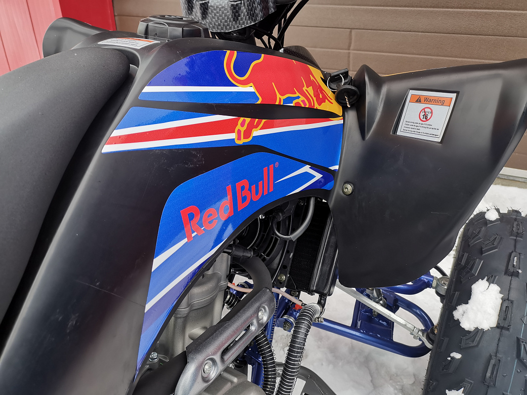 Квадроцикл PROMAX RAPTOR 300 NEW RedBull в Обнинске