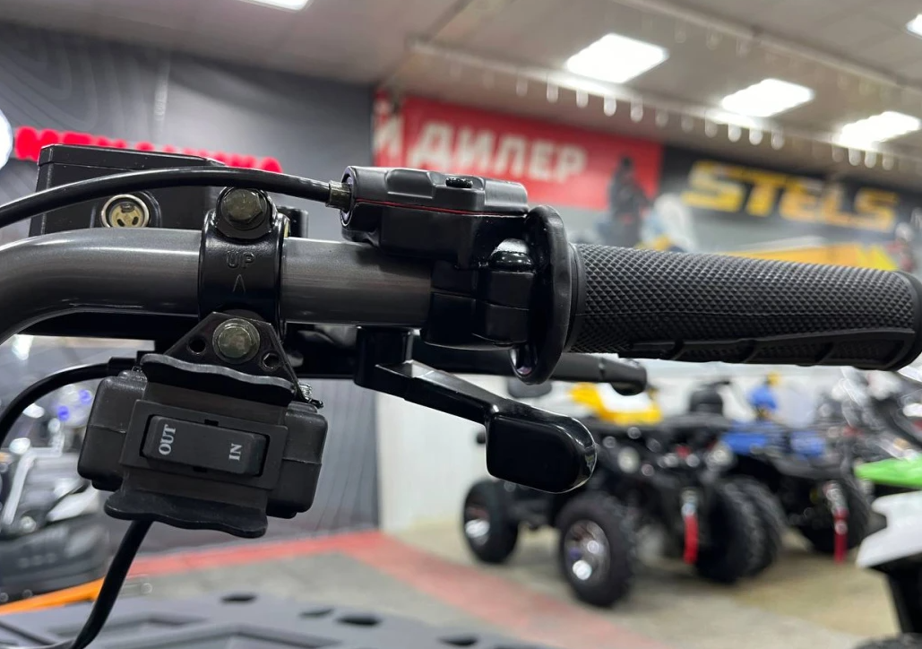 Квадроцикл PROMAX RENEGADE 300 LONG WINCH PRO (2025) в Обнинске