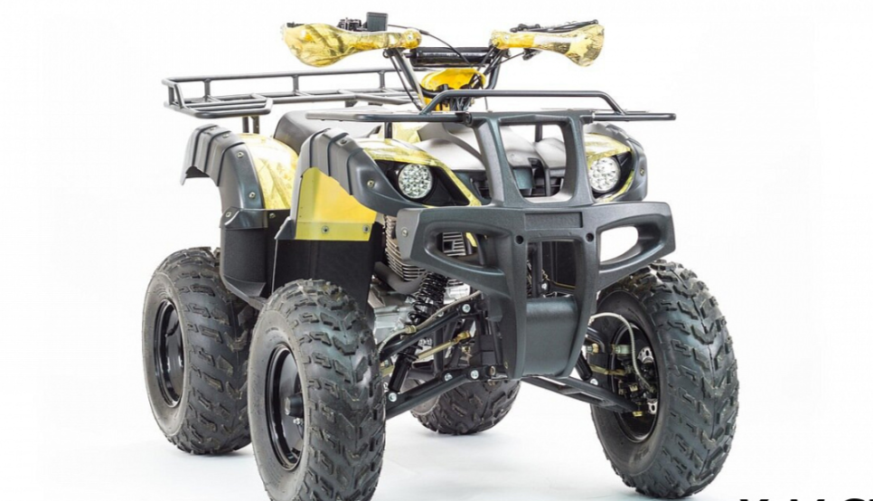 Квадроцикл MOTOLAND (МОТОЛЕНД) 250 ADVENTURE в Обнинске