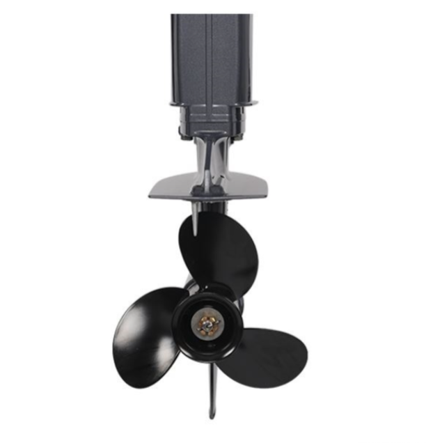 Лодочный мотор ALLFA CG Т40FW S в Обнинске