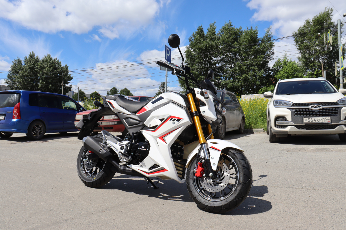 Мотоцикл PROMAX STRYKER 200(49) 2.0 в Обнинске