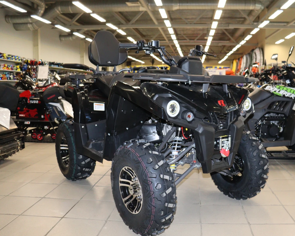 Квадроцикл PROMAX RENEGADE 300 LONG WINCH PRO (2025) в Обнинске