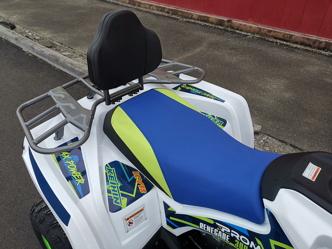 Квадроцикл PROMAX RENEGADE 280 LUX (2025) в Обнинске