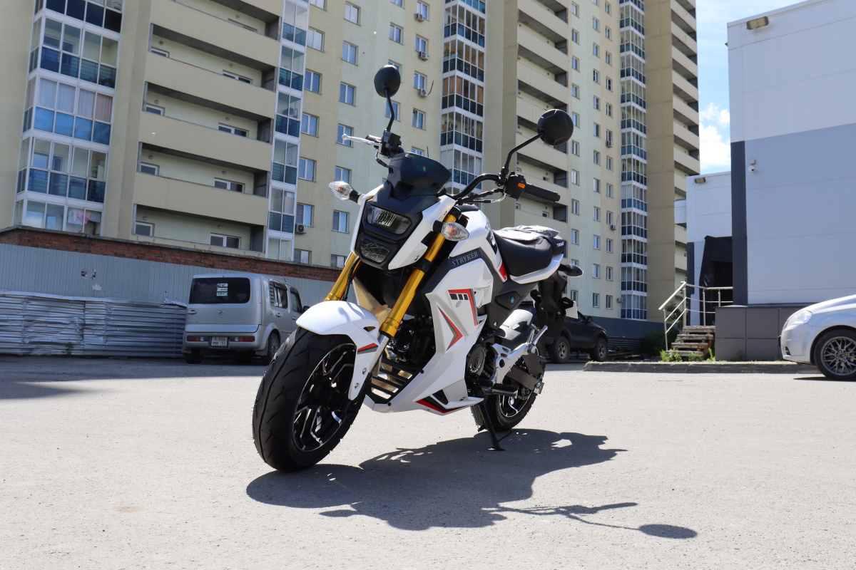 Мотоцикл PROMAX STRYKER 200(49) 2.0 в Обнинске