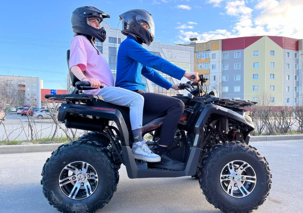 Квадроцикл PROMAX RENEGADE 300 LONG WINCH PRO (2025) в Обнинске