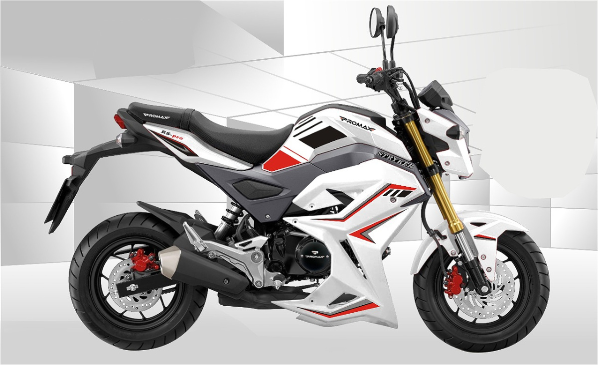 Мотоцикл PROMAX STRYKER 200(49) 2.0 в Обнинске