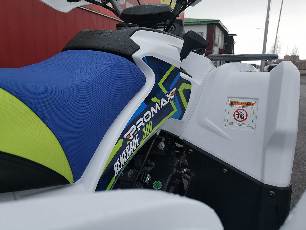 Квадроцикл PROMAX RENEGADE 280 LUX (2025) в Обнинске