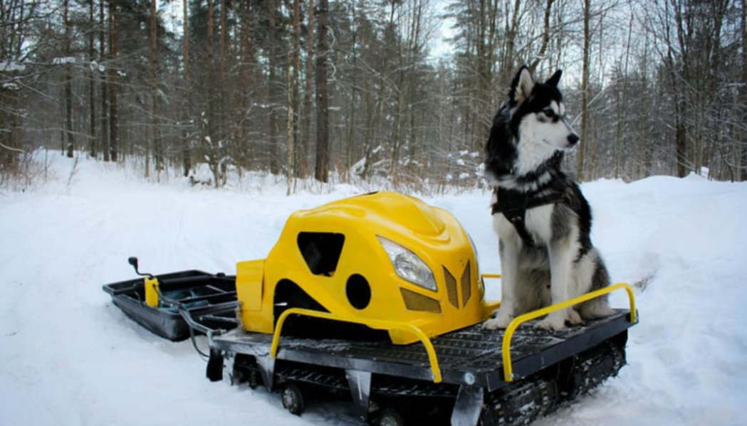 Мотобуксировщик LEBEDEV MOTORS ВОЛКОДАВ POWER V13 в Обнинске