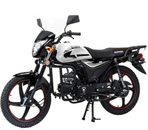 Мопед MOTOLAND (МОТОЛЕНД) Альфа RS 11 (LM48-B) в Обнинске