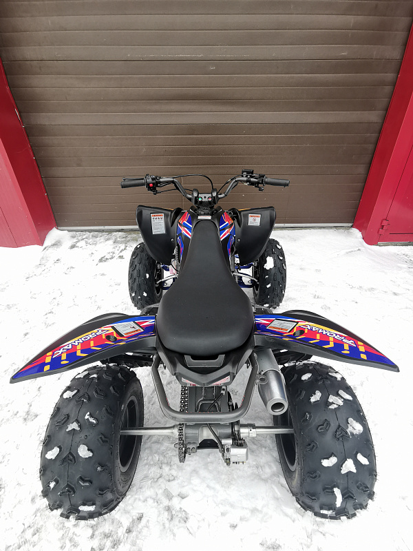 Квадроцикл PROMAX RAPTOR 300 NEW RedBull в Обнинске