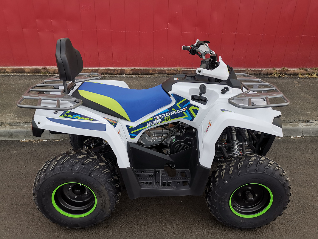 Квадроцикл PROMAX RENEGADE 280 LUX (2025) в Обнинске