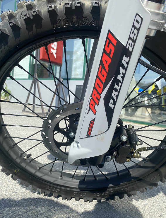 Мотоцикл Progasi PALMA 300 NEW (CB300F) в Обнинске