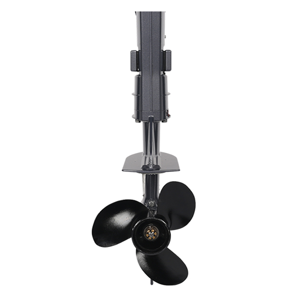 ЛОДОЧНЫЙ МОТОР ALLFA CG T5 в Обнинске