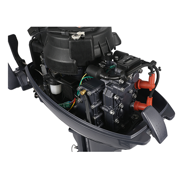 ЛОДОЧНЫЙ МОТОР ALLFA CG Т9,9 в Обнинске