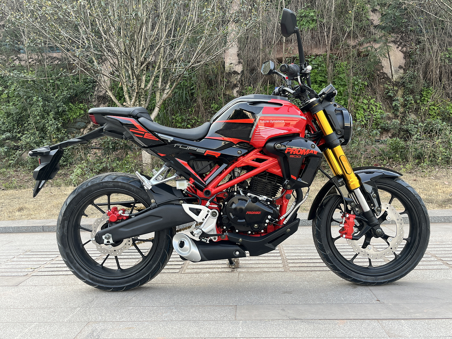 Мотоцикл PROMAX CB300 в Обнинске