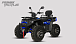 Квадроцикл PROMAX TAURUS 300 MAX-PRO LONG в Обнинске