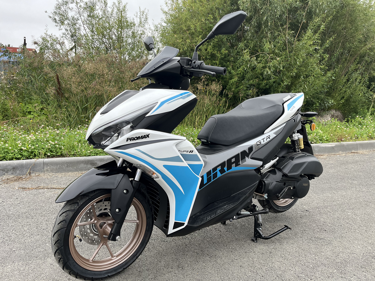 Скутер PROMAX TURAN 250 (49) в Обнинске