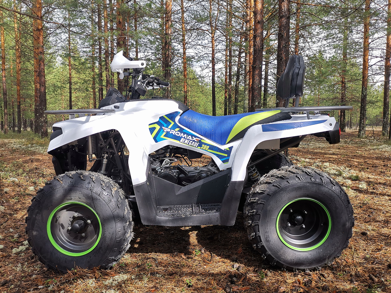 Квадроцикл PROMAX RENEGADE 280 (2025) в Обнинске