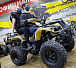Квадроцикл PROMAX ATV 250 (2025) в Обнинске