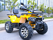 Квадроцикл MOTOLAND (МОТОЛЕНД) VOX200 WILD TRACK X PRO (баланс. вал) в Обнинске