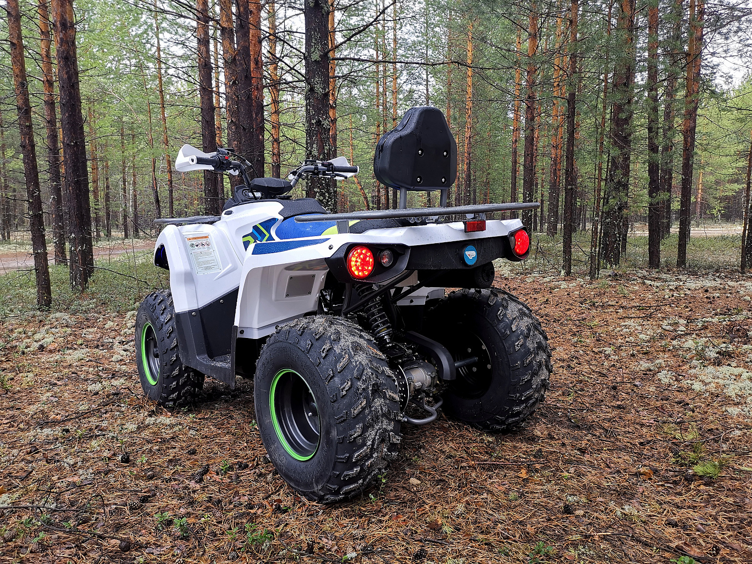 Квадроцикл PROMAX RENEGADE 280 (2025) в Обнинске