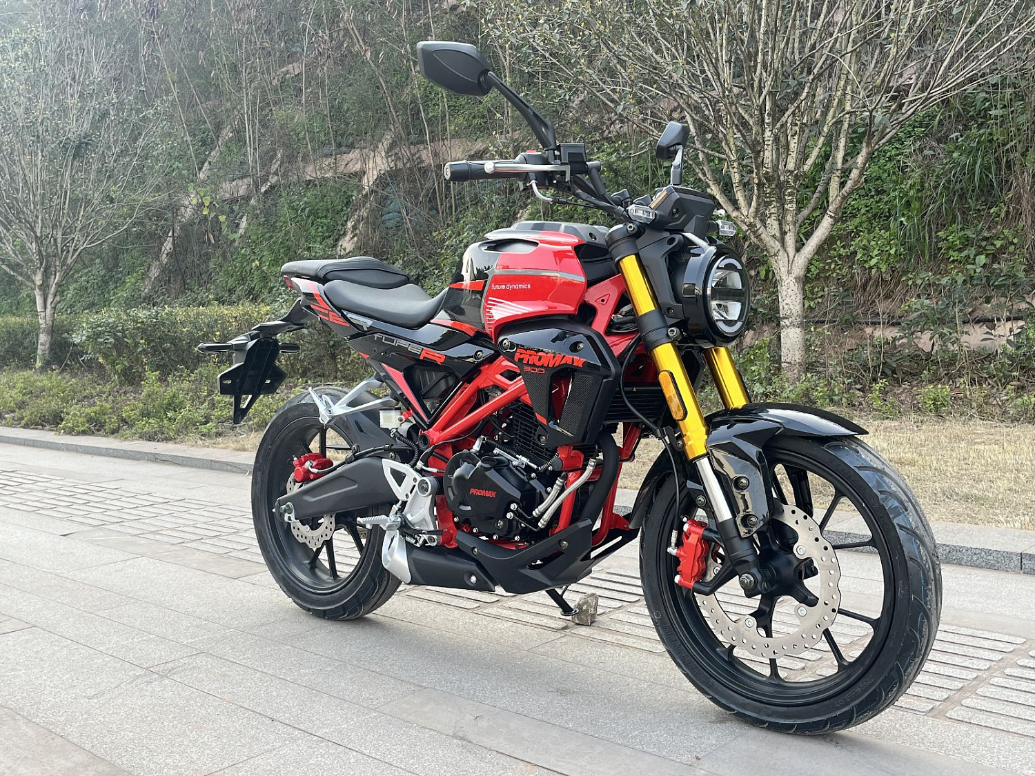 Мотоцикл PROMAX CB300RL (4V, 6G) в Обнинске