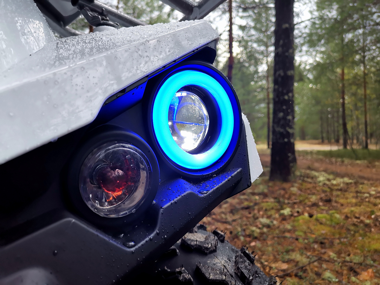 Квадроцикл PROMAX RENEGADE 280 (2025) в Обнинске