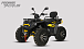 Квадроцикл PROMAX TAURUS 300 MAX-PRO LONG в Обнинске